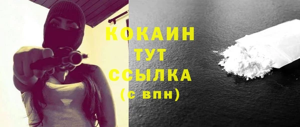 прущие грибы Абаза