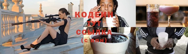 прущие грибы Абаза