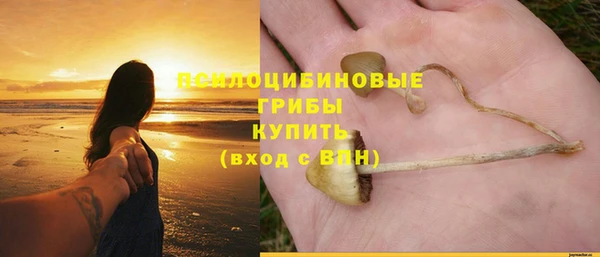 дурь Абдулино