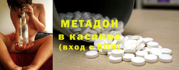 прущие грибы Абаза
