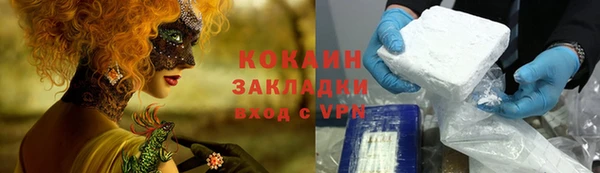 прущие грибы Абаза