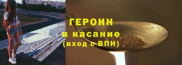 прущие грибы Абаза