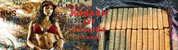 прущие грибы Абаза