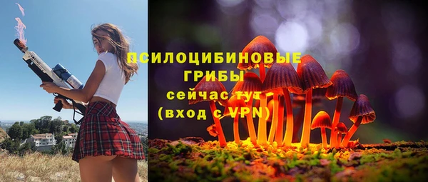 прущие грибы Абаза