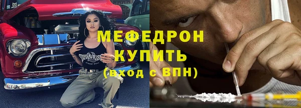 прущие грибы Абаза
