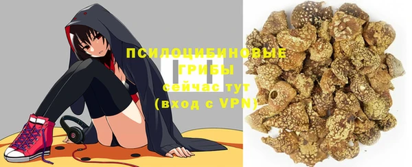 прущие грибы Абаза