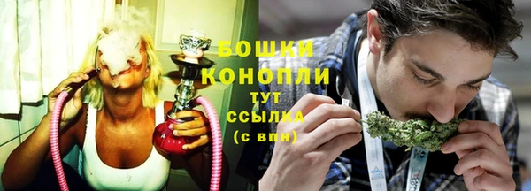 прущие грибы Абаза