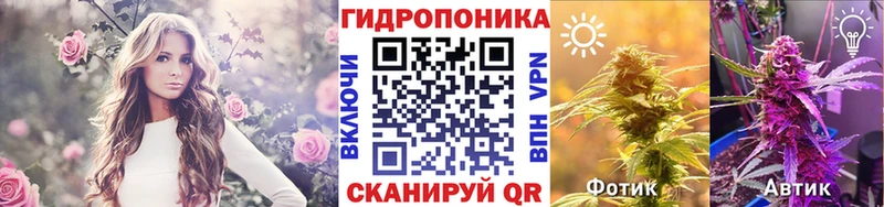 Бошки Шишки гибрид  где купить наркотик  Усмань 